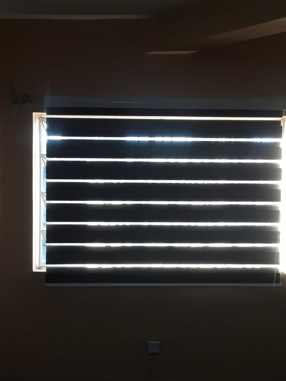 Zebra blinds