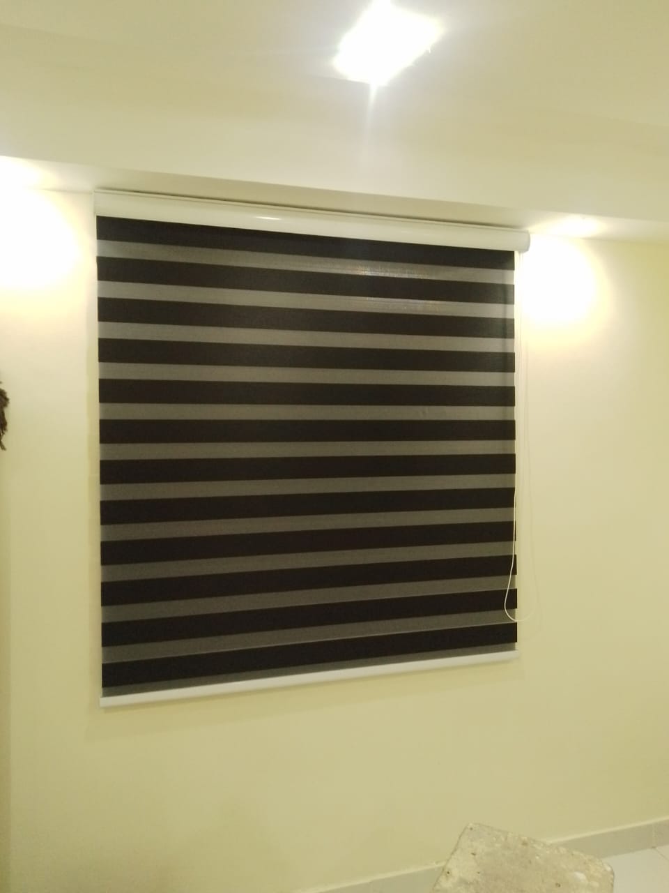 Zebra blinds